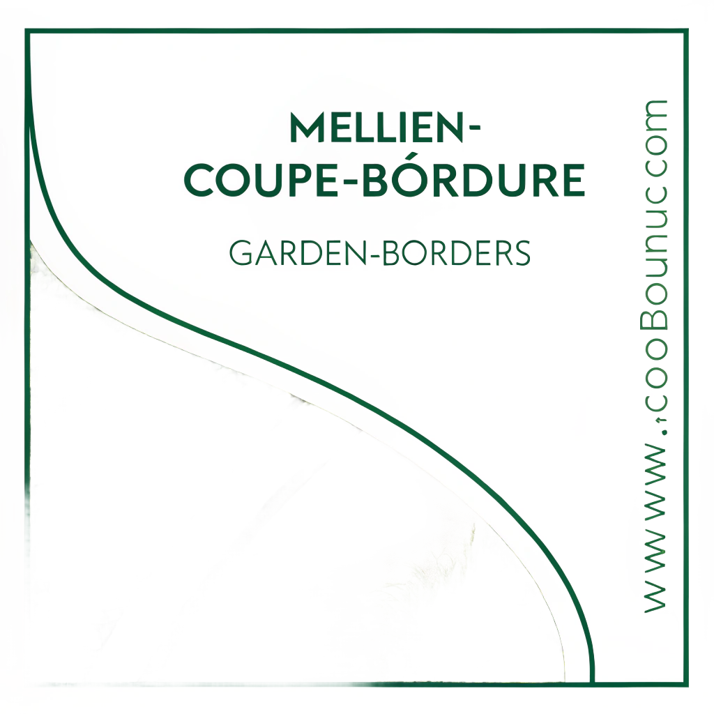 Meilleur coupe bordure